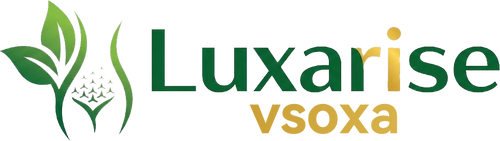vsoxa